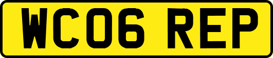 WC06REP