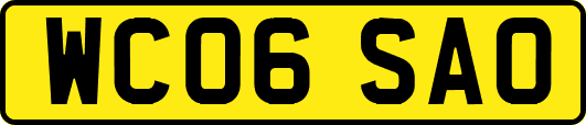 WC06SAO