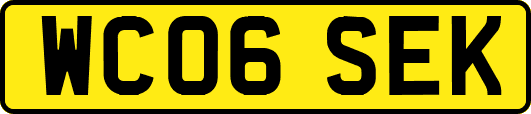 WC06SEK