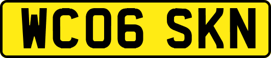 WC06SKN