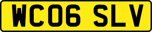 WC06SLV