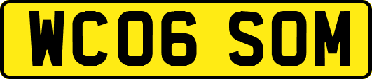 WC06SOM
