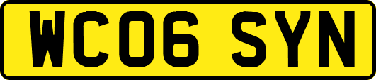 WC06SYN