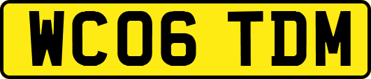 WC06TDM