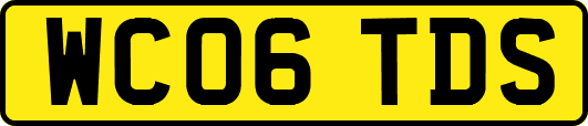 WC06TDS