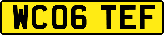 WC06TEF