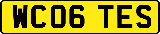 WC06TES