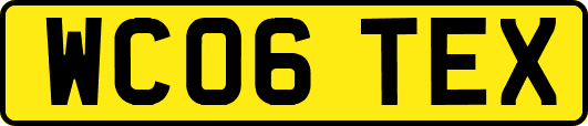 WC06TEX