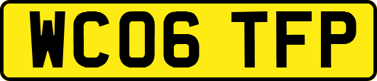 WC06TFP