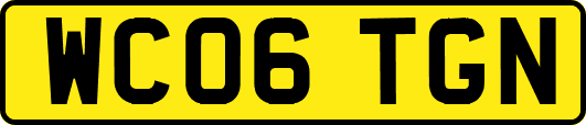 WC06TGN