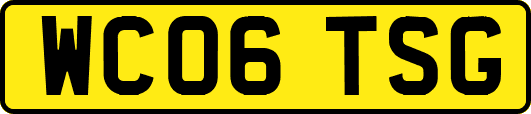 WC06TSG