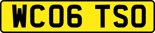 WC06TSO