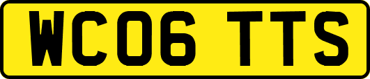 WC06TTS