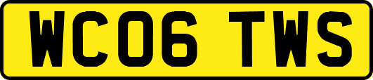 WC06TWS