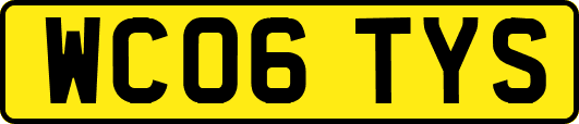 WC06TYS