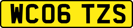 WC06TZS