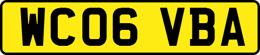 WC06VBA