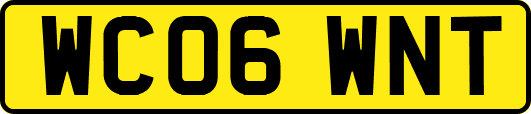 WC06WNT