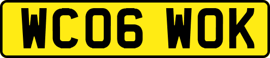 WC06WOK