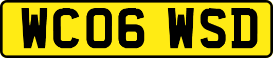 WC06WSD