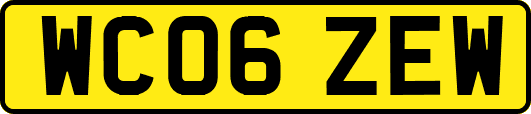 WC06ZEW