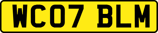 WC07BLM
