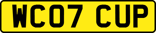 WC07CUP