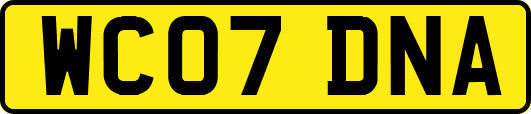 WC07DNA