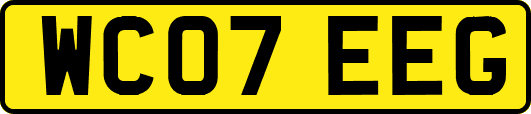 WC07EEG