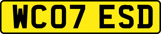 WC07ESD