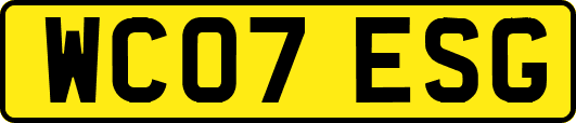 WC07ESG