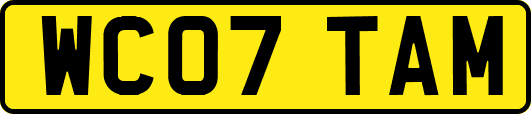 WC07TAM