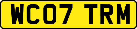 WC07TRM