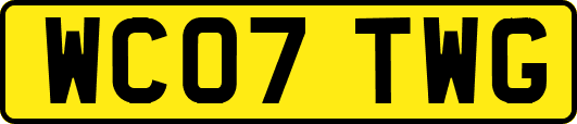 WC07TWG