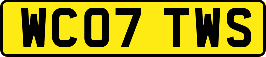 WC07TWS