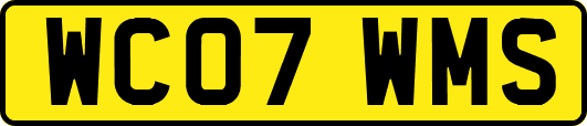 WC07WMS