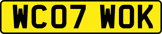 WC07WOK