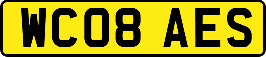 WC08AES