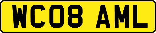 WC08AML