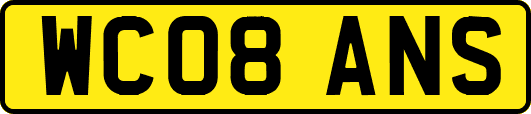 WC08ANS