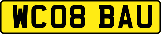 WC08BAU