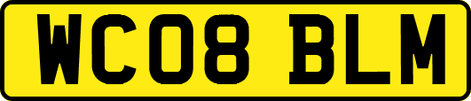 WC08BLM