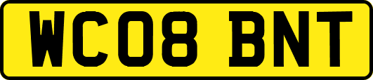 WC08BNT