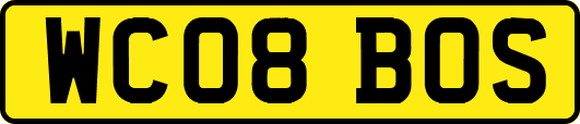 WC08BOS