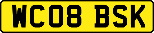 WC08BSK