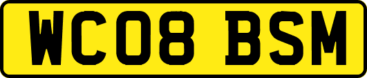 WC08BSM