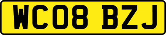 WC08BZJ