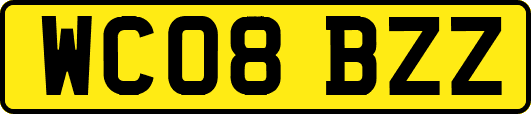 WC08BZZ