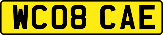 WC08CAE