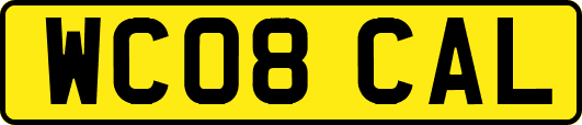 WC08CAL